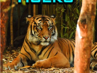 Tigers - Powerpoint & Activities