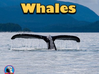 Whales - Powerpoint & Activities