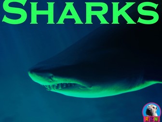 Sharks - Powerpoint & Activities