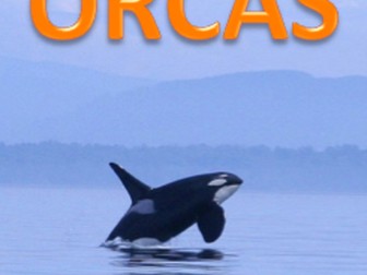 Orcas - The Killer Whales: PowerPoint & Activities