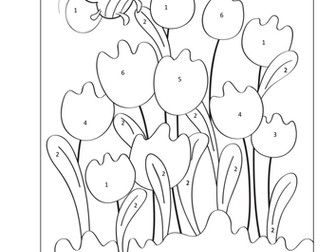 Colour by number French tulips