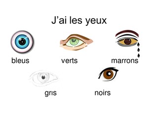 Physical description