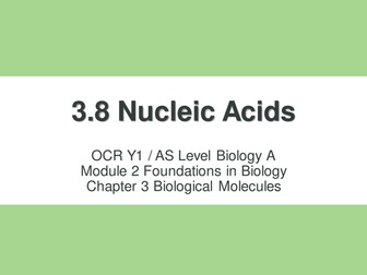 NEW OCR A Level Biology - Nucleic Acids