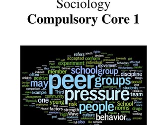 Sociology WJEC Revision Guide - Understanding Social Processes