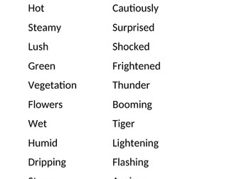 Literacy Lesson - creative writing