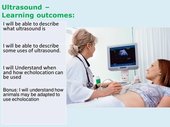 Ultrasound lesson,  based on bats, perfect for KS3