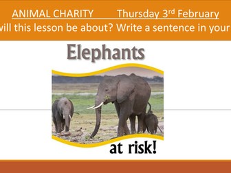 Persuasive Writing - Animal Charity