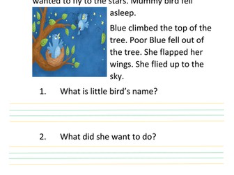 year 2 Reading Comprehension/writing