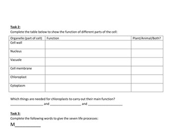 Cells Revision Tasks