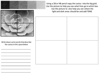 Tonal Succulent Worksheet with Evaluation