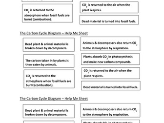 The Carbon Cycle - AQA B1