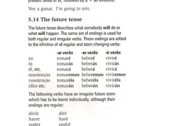 Future tense information sheet/translation/test