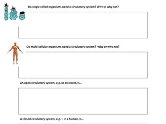 OCR Gateway B5 Biology Single and Double Circulatory Systems Activity