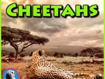 Cheetahs - PowerPoint & Activities