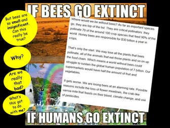 Stewardship and Khalifah