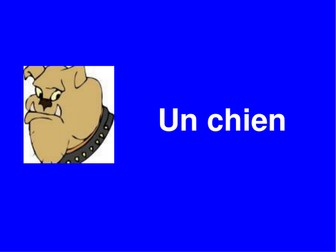 Pets Les Animaux year 7 French