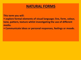 GCSE Art Natural Form Scheme of Work