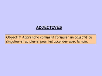 GCSE or AS FRENCH: Adjectives