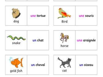 Engaging KS2 or KS3 French Translation Activities (great starters ...