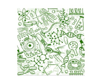 AQA B2 Revision Key Ideas Booklet