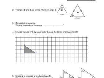 OCR Maths: Initial learning for GCSE - Check In Test 9.04 Similarity
