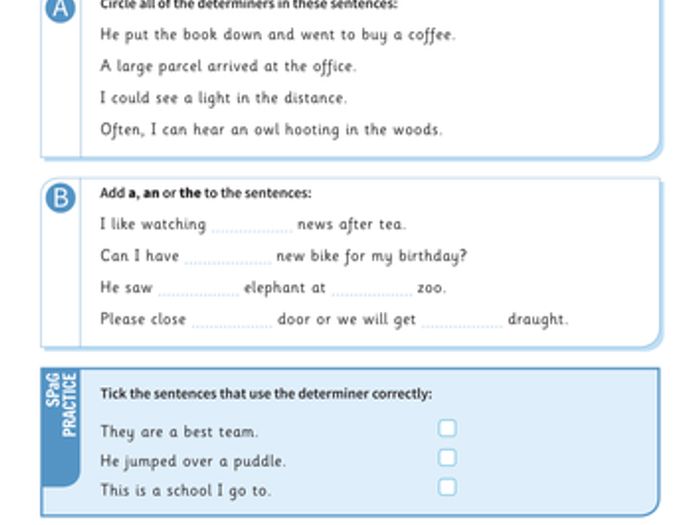 Determiner detectives picture