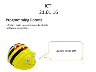 Bee Bot Lesson Scheme for Year 1 - 3 Lessons and Lesson Scheme document 