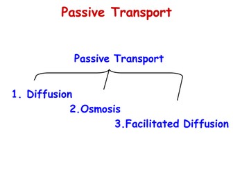 Transport Across Cell Membrane