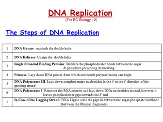 DNA Replication & Recombinant DNA