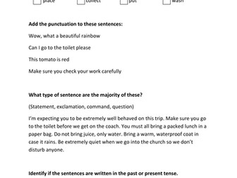 NEW 2016 Year 2 SATs Style SPaG worksheets and activities - Sentence Type