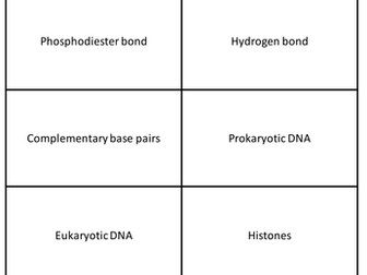 DNA Revision