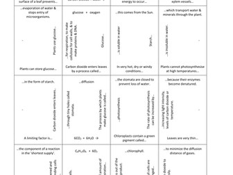 Photosynthesis & plant adaptations card-squares