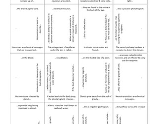 Co-ordination & homeostasis card-squares