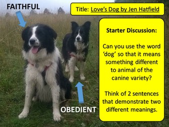 Love's Dog - Jen Hatfield (PowerPoint)