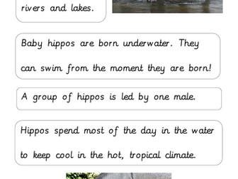 Label Information Text Features