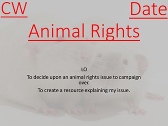 Animal Rights