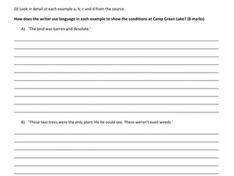 Reading exam/assessment - Holes by Louis Sachar