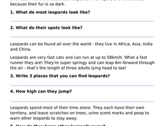 Year 2 guided reading text