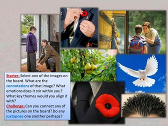 Poppies by Jane Weir