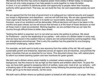 What are Liberal Democrat policy ideas?