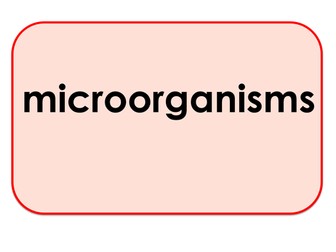 Micro-organisms - Games and Activities Supporting Scientific Vocabulary