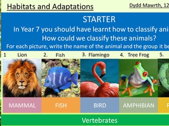 Habitats and Adaptations