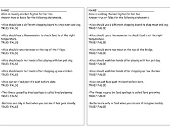 KS3 Food whole lesson on Food Spoilage with Power Point and Worksheet