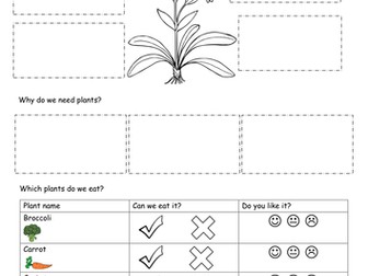 Year 1 - Plants and Growing Unit (Science)