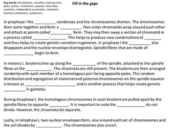 Meiosis - OCR 