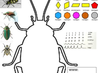 Insect bug cover worksheet