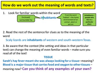 Reading Analyses- Band 1