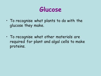 B2.2.3 How Plants Use Glucose