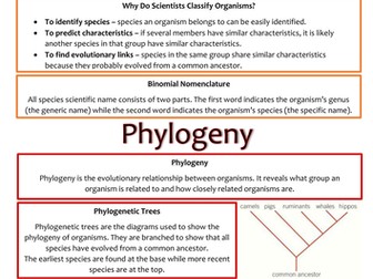 Biology AS Level OCR Revision Notes - Classification