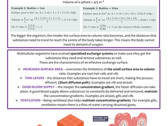 Biology AS Level OCR Revision Notes - Exchange Surfaces and Breathing